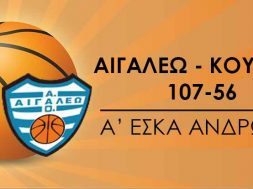 maketa_basket_apotel