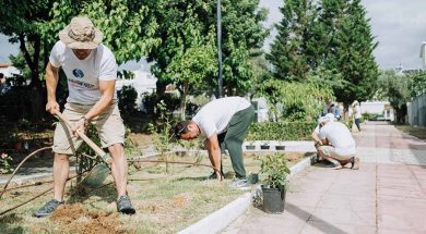 Χρώμα στην πλατεία “ΕΛΑΣ” και στον περιβάλλοντα χώρο στην περιοχή Ραδιοφωνίας έδωσε η εθελοντική ομάδα Ethelon με την συνεργασία της διεύθυνσης καθαριότητας του δήμου Ιλίου την Κυριακή 24 Ιουνίου 2018, με παρέμβαση στον χώρο και δεντροφυτεύσεις.