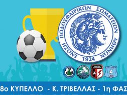 ΜΑΚΕΤΑ_NF_CUP_αιμοσ