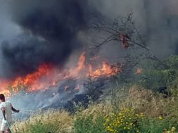 ΦΩΤΙΑ ΣΤΟ ΟΡΟΣ ΑΙΓΑΛΕΩ