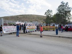 ΚΑΤΑΛΗΨΗ ΧΥΤΑ ΦΥΛΗΣ