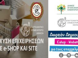 ΑΓΙΟΙ ΑΝΑΡΓΥΡΟΙ-eshop1-AIGALEV