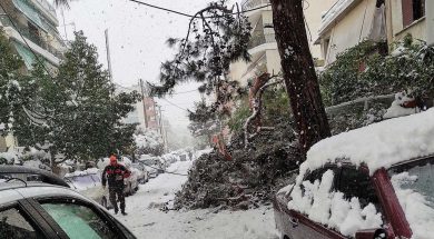 ΔΗΜΟΣ ΠΕΤΡΟΥΠΟΛΗς1